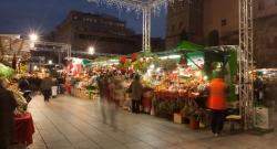 Non renouvellement de la convention d'occupation domaniale pour le marché de Noël à Paris : rejet du pourvoi de la société